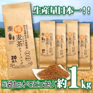 ふるさと納税 松山市 〈生産者支援〉えひめ はだか麦 媛麦茶 1kg分