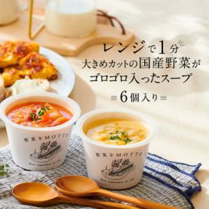 ふるさと納税 静岡市 野菜をMOTTO　国産野菜のレンジカップスープ　6個セット
