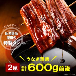 うなぎの蒲焼ビッグサイズ　2尾(計約600g)