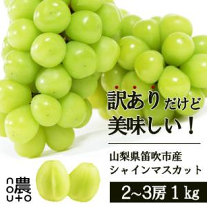 ふるさと納税 笛吹市 【先行受付】訳あり シャインマスカット1kg 2房〜3房 2024年発送 山梨...