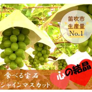 ふるさと納税 笛吹市 富士山と心の結晶、甲府盆地で育てた、生産量日本一、芳醇なシャインマスカット1....