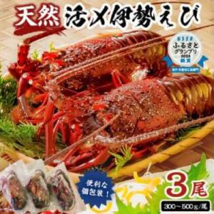 ふるさと納税 南房総市 伊勢海老 大 冷凍 900g 急速凍結で甘み凝縮! 3本セット　mi0020...