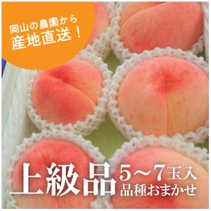 ふるさと納税 真庭市 岡山県産 果樹園から産地直送!旬採り桃 上級品 5-7玉【7月上旬〜8月下旬発...