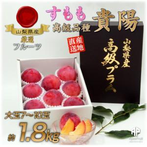 【2025年先行受付】南アルプス市産　すもも『大玉貴陽』約1.8kg(7～10玉)