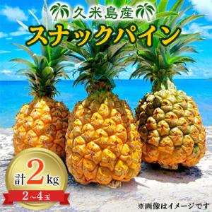 【2026年6月中旬から順次発送】久米島産のスナックパイン2kg