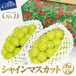 【2026年発送】 先行予約 シャインマスカット 2～3房 計1kg以上 厳選 山梨県産