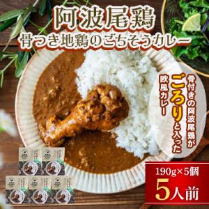 ふるさと納税 海陽町 阿波尾鶏骨つき地鶏のごちそうカレー 5人前セット MMT30