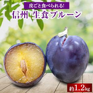 【2026年先行受付】生食用プルーン約1.2kg入り　【沖縄 離島 北海道 配送不可】