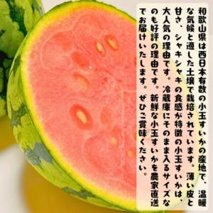 ふるさと納税 印南町 ≪先行予約 2027年6...の詳細画像1