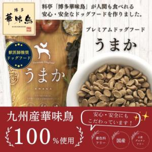 ふるさと納税 玉名市 《 国産》犬用ドライフード うまか 華味鳥100% 総合栄養食 1.5kg