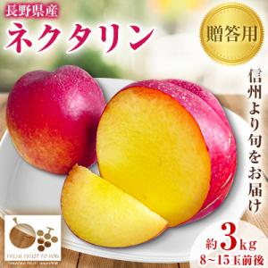 高丘フルーツの長野県産「ネクタリン」贈答用　約3Kg