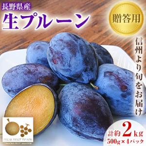 高丘フルーツの長野県産「生プルーン」贈答用　約2Kg