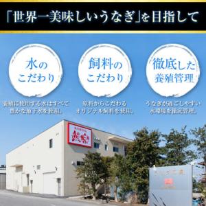 ふるさと納税 新富町 【さとふる限定】宮崎県産...の詳細画像1