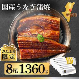 【さとふる限定】宮崎県新富町産うなぎ蒲焼8尾(計1360g以上)
