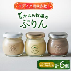 ふるさと納税 岩泉町 なかほら牧場のぷりん6個セット(カスタード/チョコ/ほうじ茶)