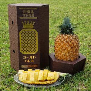 高級ゴールドバレル パイナップル1玉【2026年6月下旬から順次発送予定】