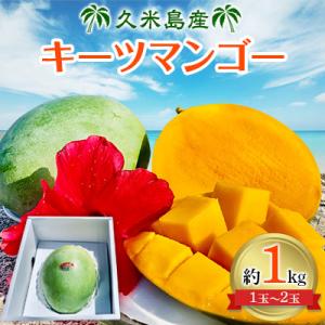【2026年8月中旬から順次発送】久米島産の幻のキーツマンゴー1kg