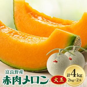 ふるさと納税 富良野市 【2026年発送】富良野メロン　大玉　赤肉メロン(2kg×2玉)計4kg