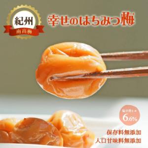 ふるさと納税 御坊市 幸せのはちみつ梅 1kg 和歌山県産 紀州 A級 南高梅 大粒 塩分6.6% ...