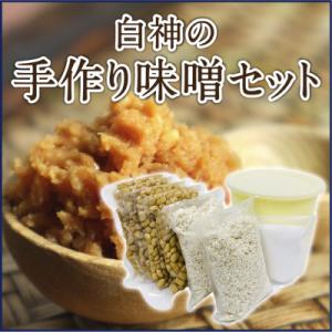 ふるさと納税 藤里町 白神の手作り味噌セット　約2kg