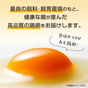 ふるさと納税 与那原町 与那原町産の新鮮な卵1...の詳細画像1