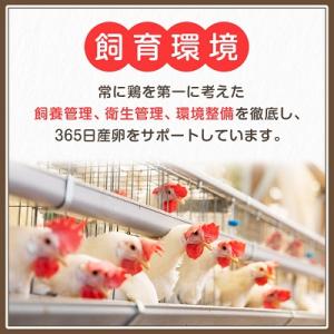 ふるさと納税 与那原町 与那原町産の新鮮な卵1...の詳細画像2