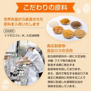 ふるさと納税 与那原町 与那原町産の新鮮な卵1...の詳細画像3