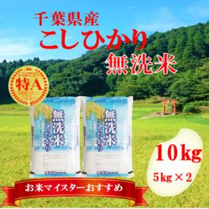 ふるさと納税 大網白里市 【令和5年産】特A評価　千葉県産コシヒカリ無洗米10kg(5kg×2)｜y-sf