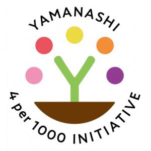 ふるさと納税 笛吹市 山梨県笛吹市産 自宅用シ...の詳細画像3