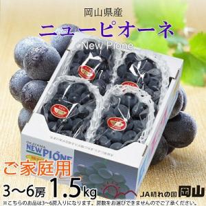 【2026年8月下旬より順次発送】ご家庭用　岡山県産　ピオーネ　1.5kg(3～6房)