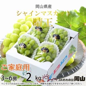 【2026年8月下旬より順次発送】ご家庭用　岡山県産　シャインマスカット　晴王　2kg(3～6房)