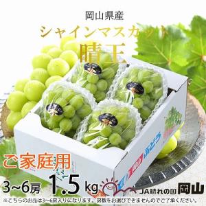 【2026年8月下旬より発送】ご家庭用　岡山県産　シャインマスカット　晴王　1.5kg(3～6房)