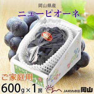 【2026年8月下旬より順次発送】ご家庭用　岡山県産　ピオーネ　600g×1房