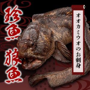 <数量限定>知床斜里産の珍魚「オオカミウオ」!話題作りにいかがですか?【凍眠にて冷凍しています】