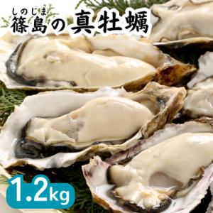 特上・篠島の殻付き真牡蠣1.2kg(生食用かき・CAS冷凍カキ)海鮮バーベキューBBQ、浜焼きに