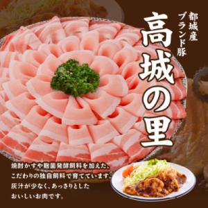 ふるさと納税 都城市 【使い易さ抜群】都城産豚...の詳細画像1