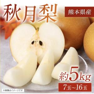 ふるさと納税 八代市 【2025年8月下旬より順次発送】熊本県産 秋月梨 約5kg 7玉〜16玉
