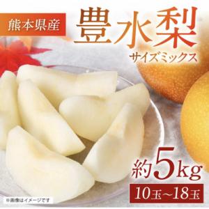 ふるさと納税 八代市 【2025年8月下旬より順次発送】熊本県産 豊水梨 約5kg　サイズミックス 10玉〜18玉