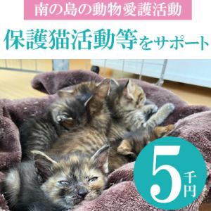 ふるさと納税 八重瀬町 【南の島の動物愛護活動】保護猫活動等をサポート(5千円)ポストカード付き