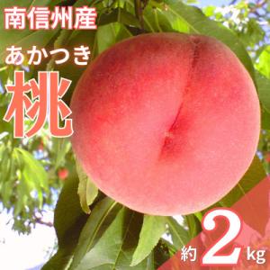 【7月下旬より順次発送】南信州産「桃」あかつき 約2kg 【5～9玉】