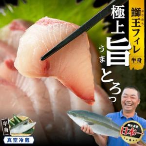 【新物】鰤王フィレ(約0.8kg～)_jfa-7126R8