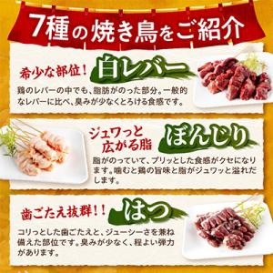 ふるさと納税 宮崎市 宮崎県産若鶏の焼き鳥セッ...の詳細画像1