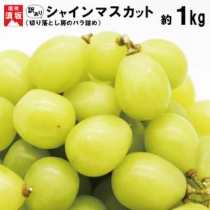 ふるさと納税 須坂市 【2023年発送】訳あり シャインマスカット 約1kg(切り落とし房のバラ詰め) 信州グルメ市場厳選