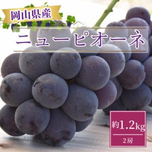 【2026年発送】岡山県産ニューピオーネ約1.2kg(2房)