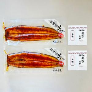 ふるさと納税 浜松市 浜名湖うなぎ蒲焼2尾(1...の詳細画像3
