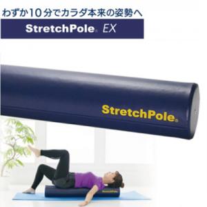 ふるさと納税 みやき町 「ストレッチポール(R)EX《ネイビー》(LPN社製)」_SS367