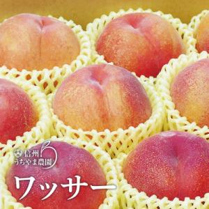 ふるさと納税 須坂市 信州うちやま農園の「ワッサー」約4.5kg(15〜18玉入り)　硬い桃!桃+ネクタリンの掛け合わせ
