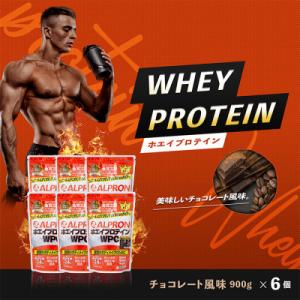 ふるさと納税 雲南市 ALPRON WPC プロテイン チョコレート風味セット(900g×6個)