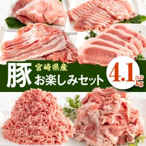 宮崎県産豚 お楽しみセット 計4.1kg