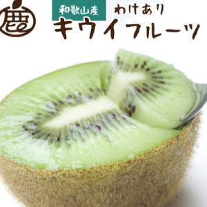 ふるさと納税 印南町 ＜11月より発送＞家庭用キウイフルーツ1.8kg+54g(傷み補償分)【訳あり...